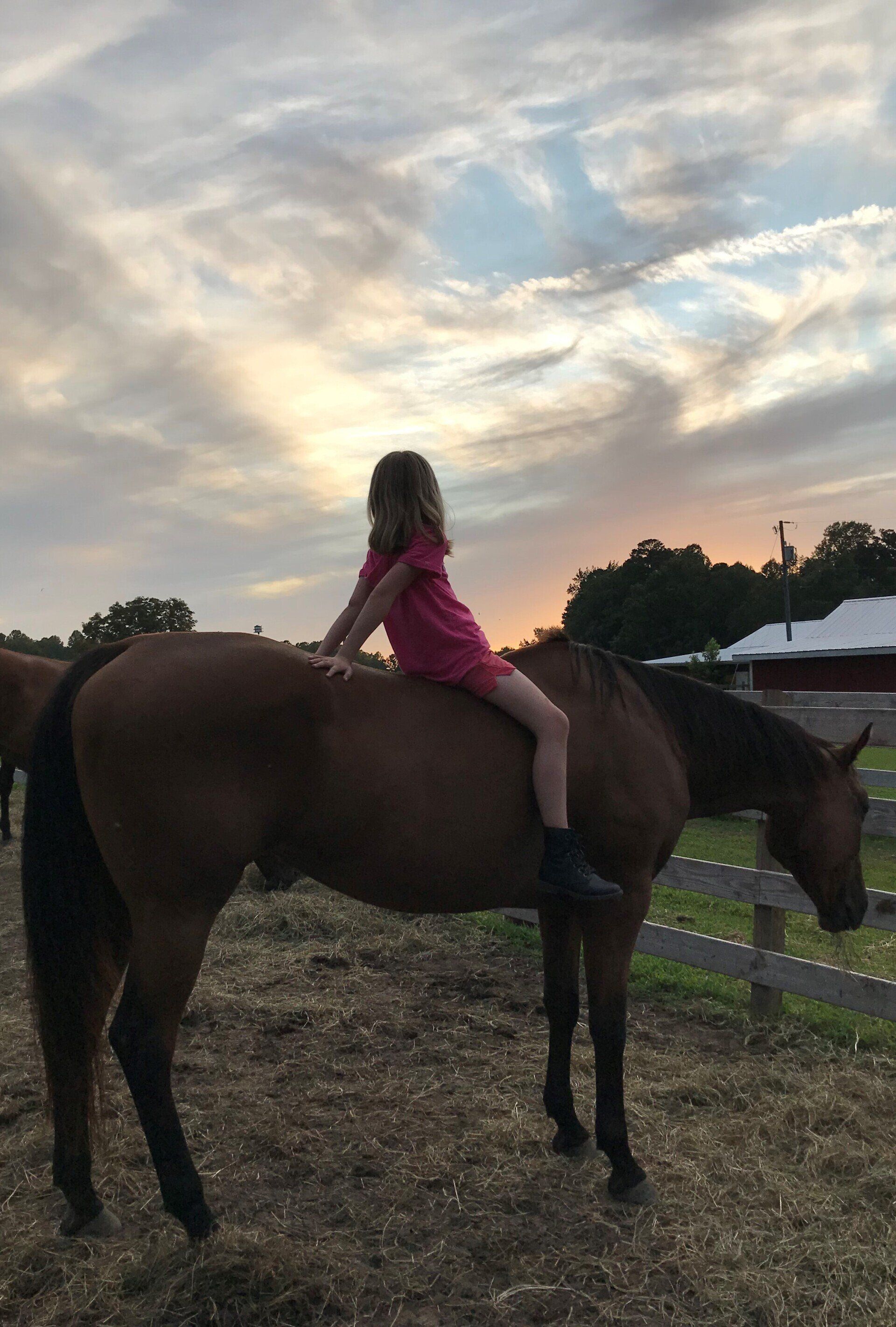Equine Retreats in Friendship, NY | Wildfire Ranch NY INC