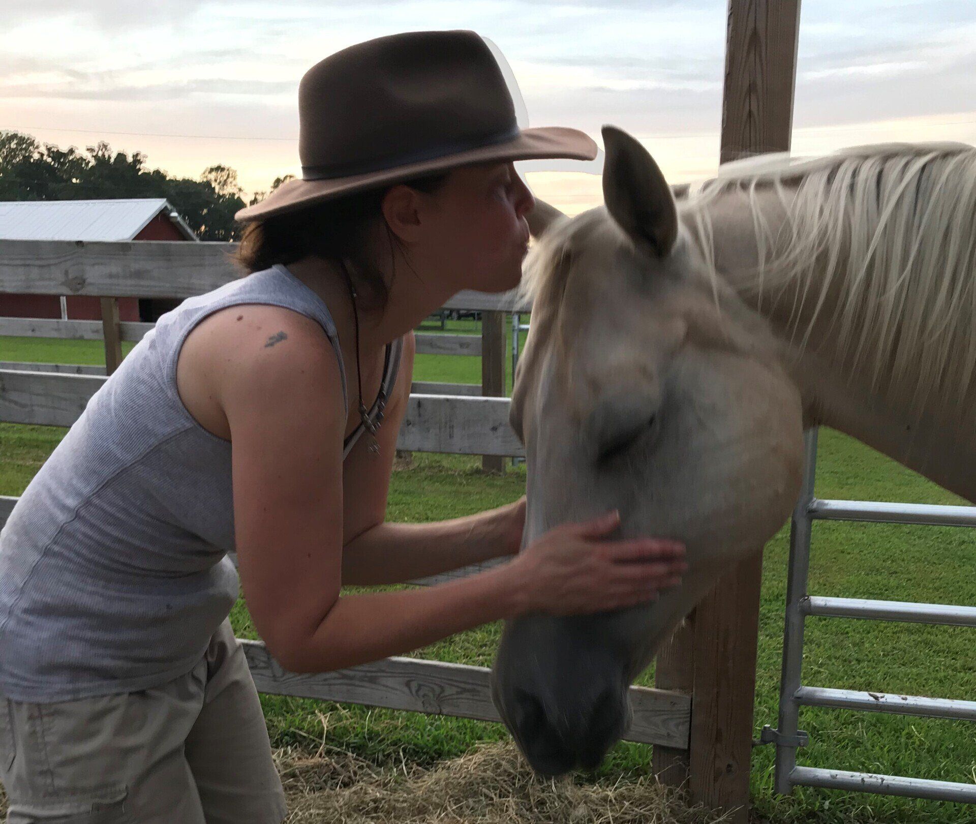 Equine Therapy in Friendship, NY | Wildfire Ranch NY INC