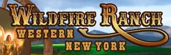 Equine Therapy in Friendship, NY | Wildfire Ranch NY INC
