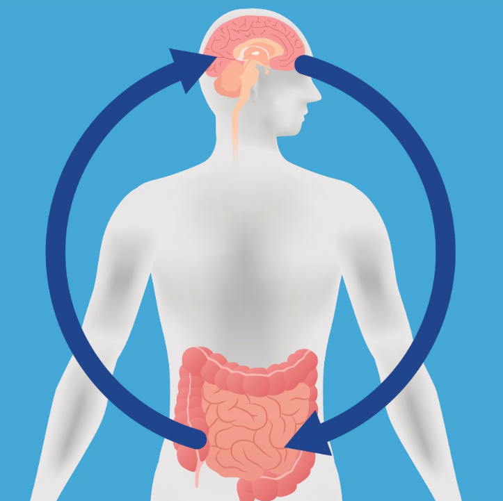Heal Your Gut Microbiome to Manage Your Autism