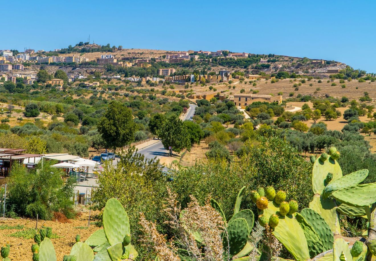 Villaggio soleggiato su un pendio, con case sparse e alberi verdi sotto un cielo azzurro terso