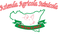Logo con la scritta rossa «Azienda Agricola Suinicola» sopra il profilo verde di una mappa e un maiale su un nastro verde con la scritta «Calvaccanti»