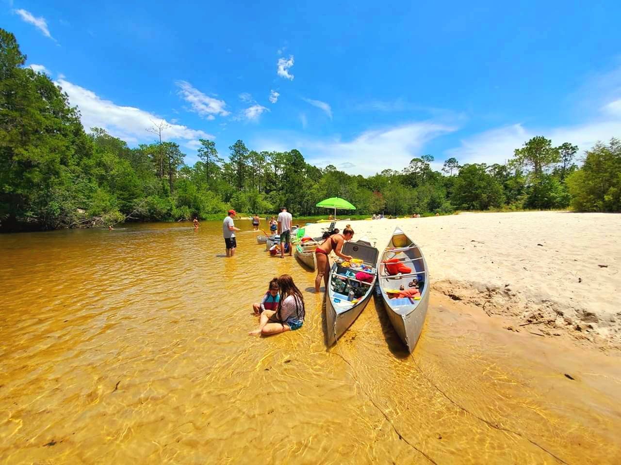 Three canoes are sitting on the shore of a river.