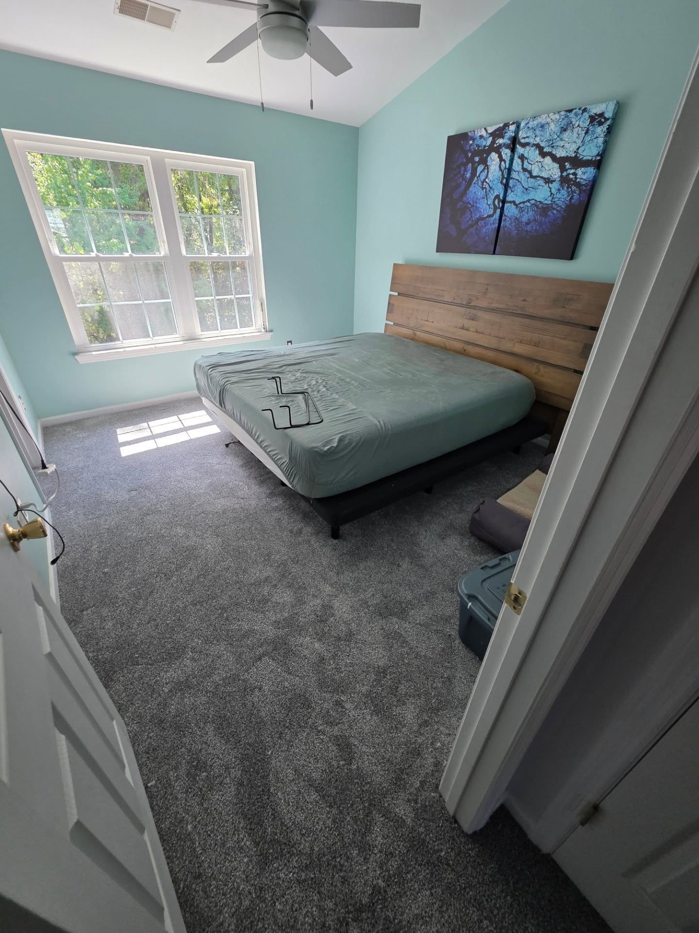 Bright bedroom with teal walls, gray carpet, bed, window light, ceiling fan, and landscape wall art