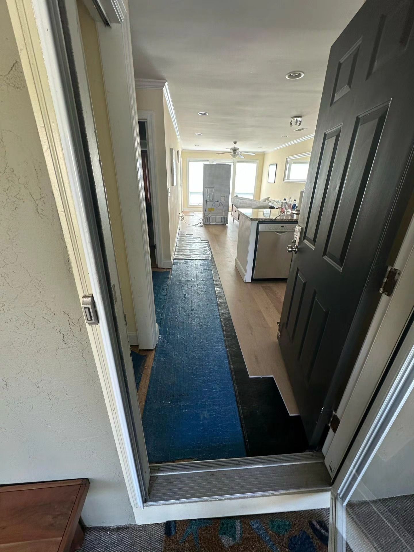 Hallway view into a home with blue runner rug, open black door, and kitchen visible ahead