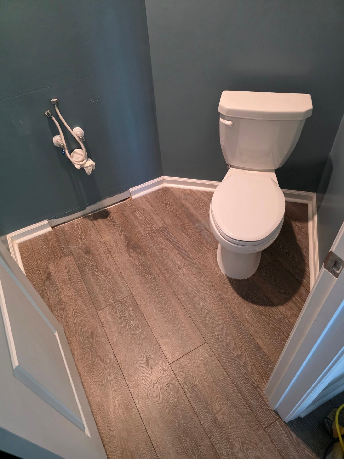 Small bathroom with a white toilet, blue walls, and wood-look flooring.