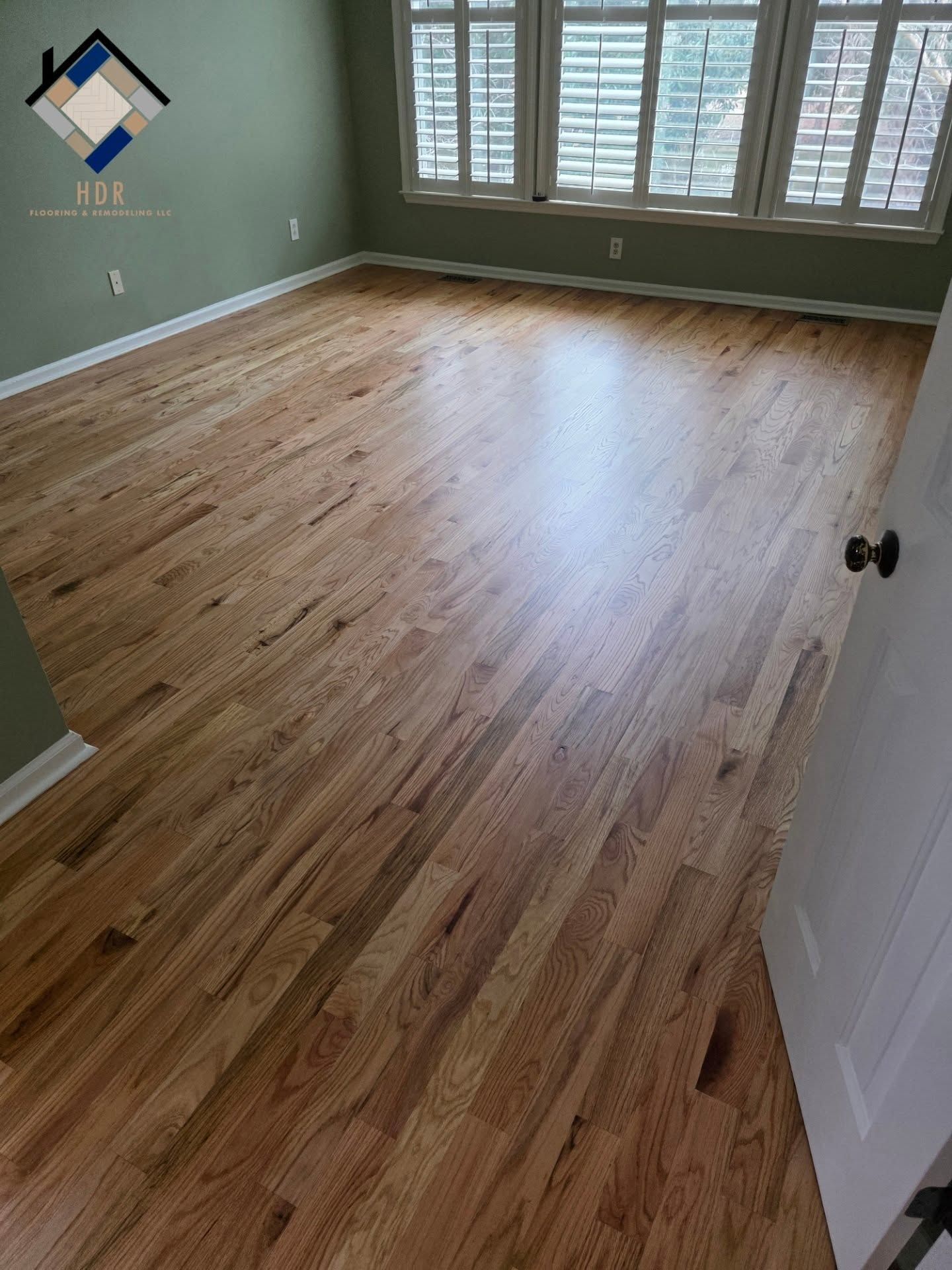 Empty room with light hardwood floors, green walls, and a window with white shutters.