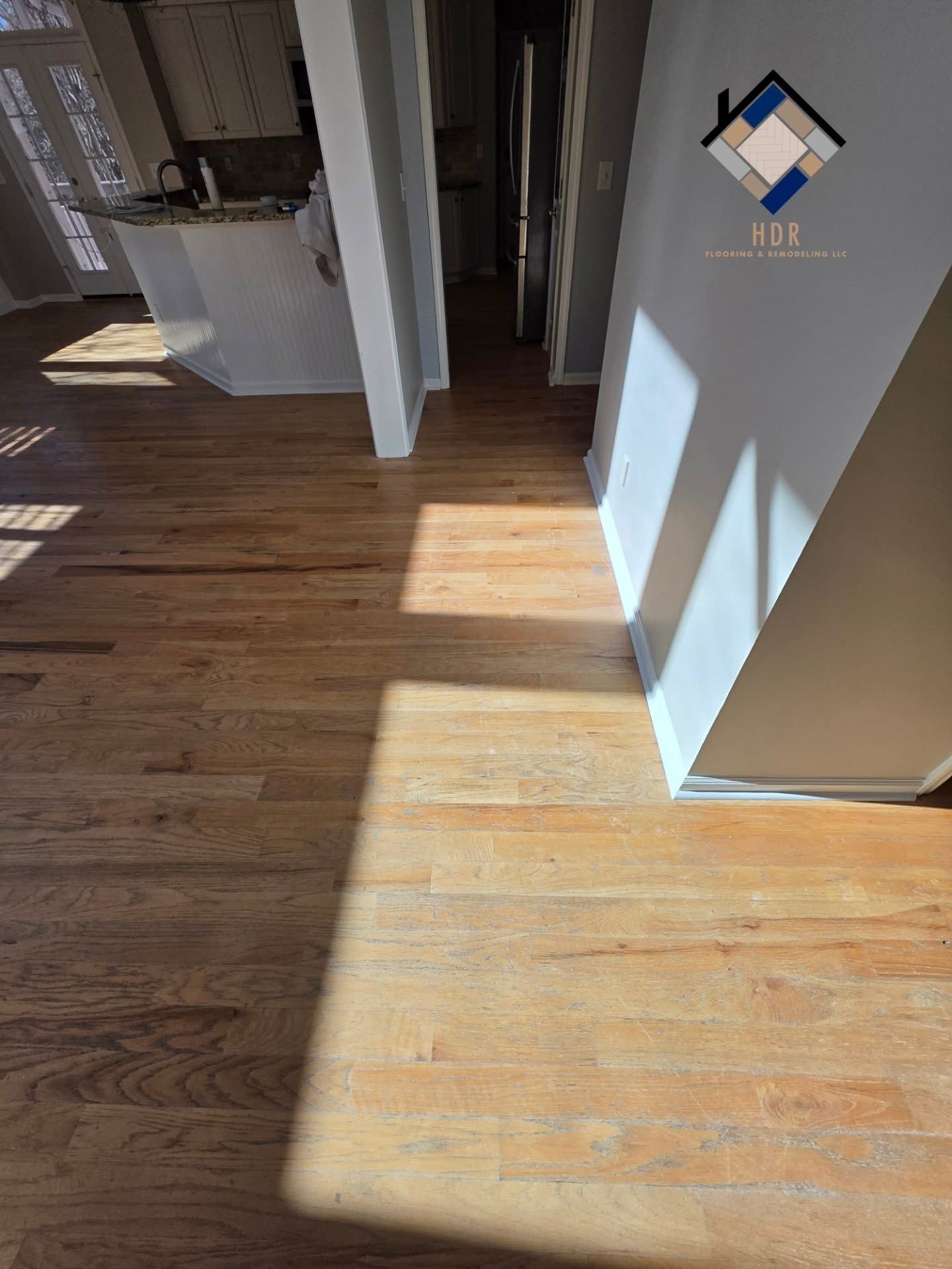 Sunlit hardwood hallway leading to a dim kitchen, with strong window shadows on the floor and wall.