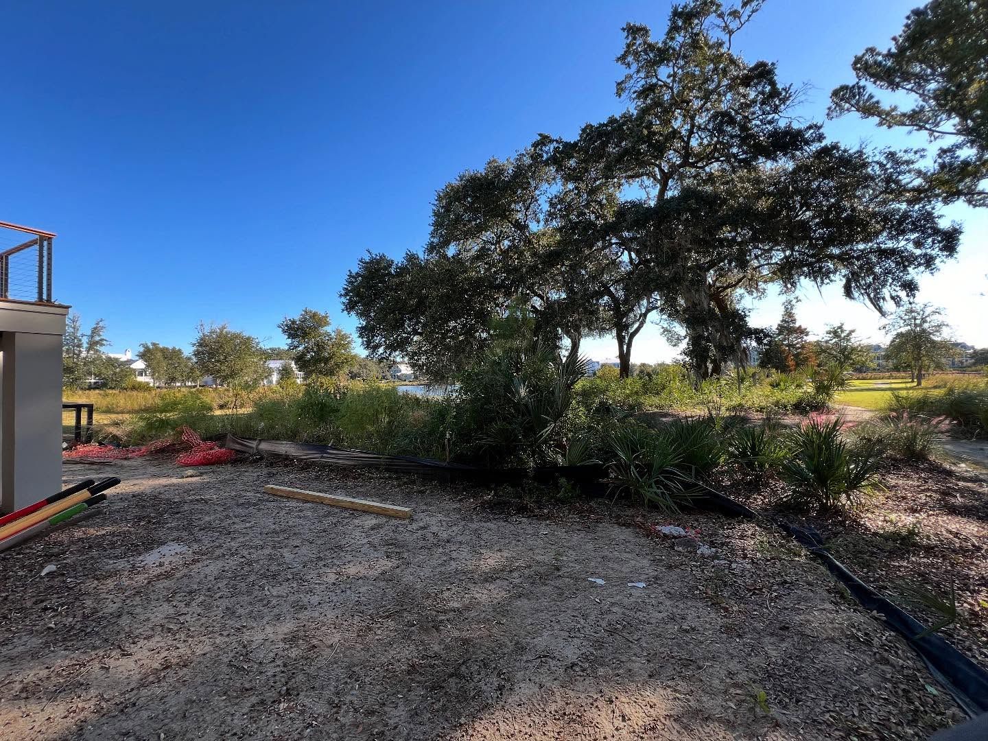 Gravel yard with a large leafy tree, shrubs, and a building edge under a bright blue sky