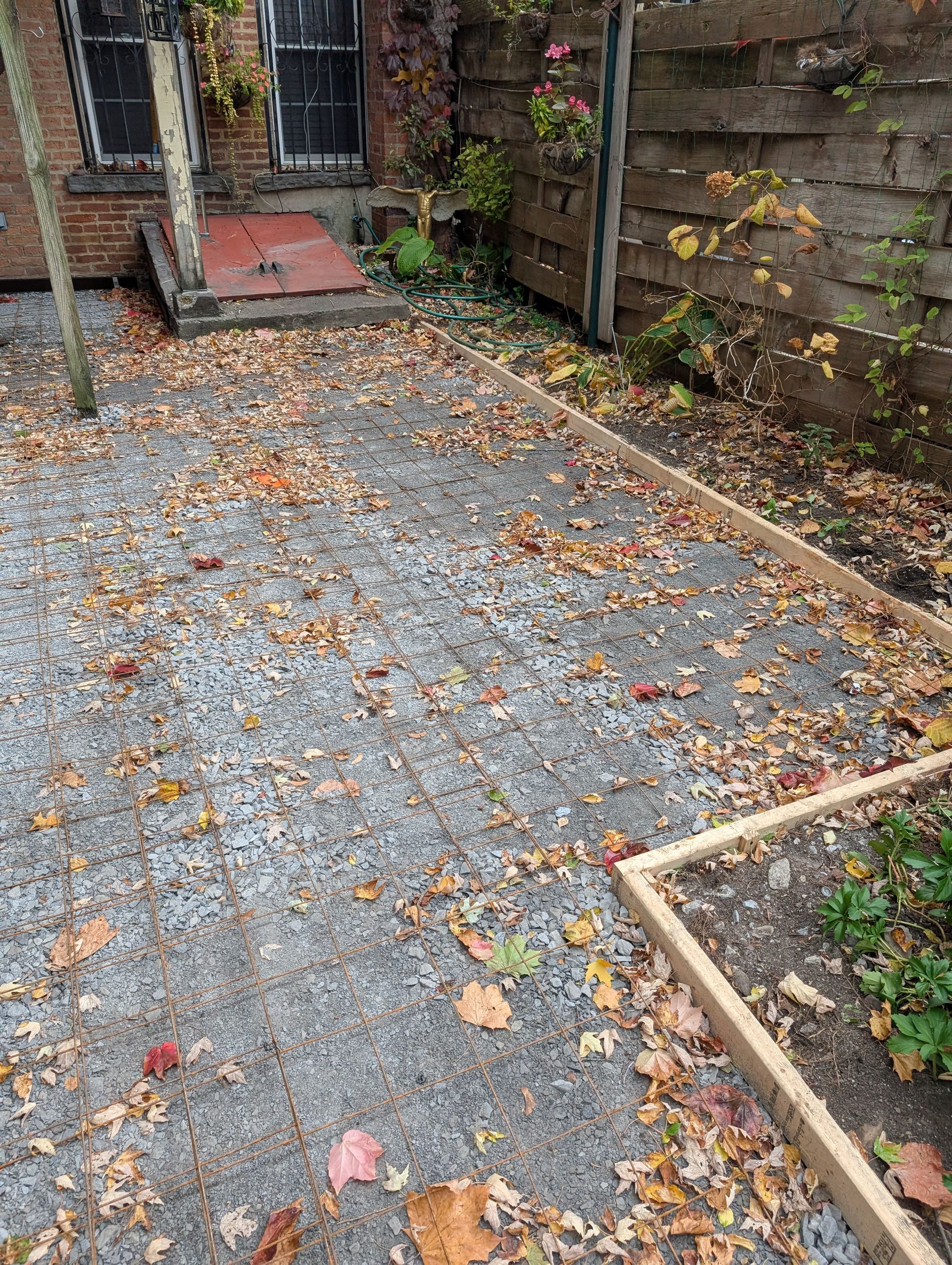 There are a lot of leaves on the ground in the backyard.