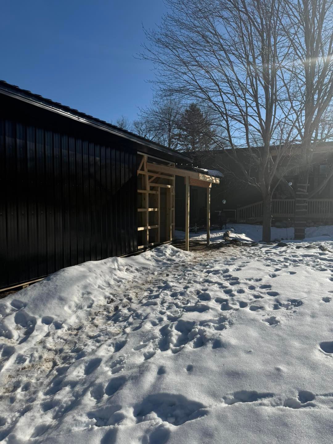 Snow-covered yard beside a dark building under a clear blue sky, with bare trees and deep footprints.