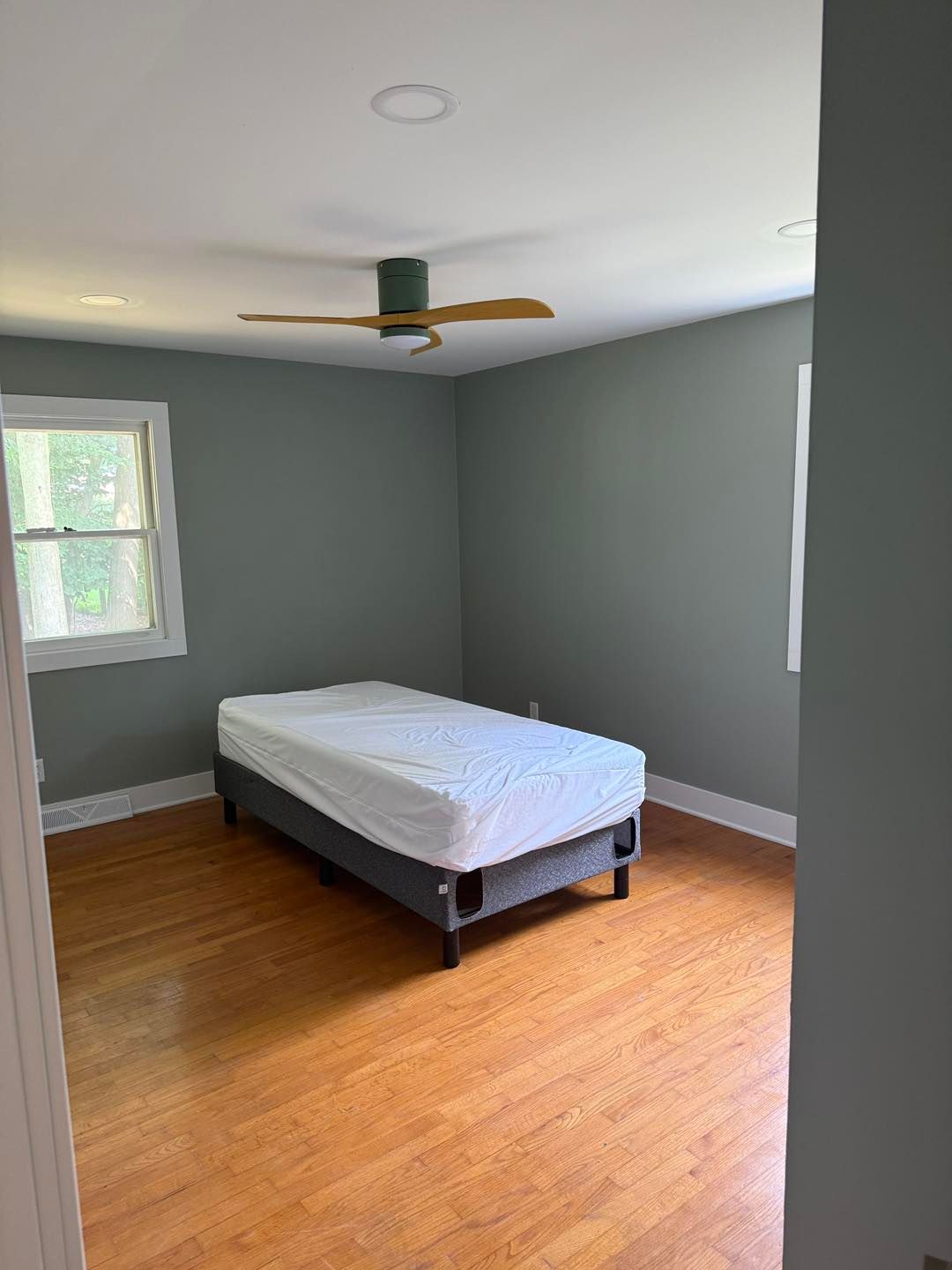 Empty bedroom with gray walls, wood floor, a bed, ceiling fan, and two windows.