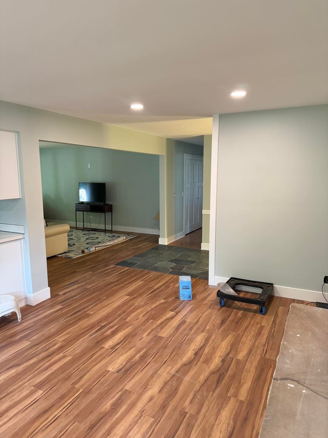 Empty living room with wood floors, pale walls, recessed lights, and a TV in the adjacent room.