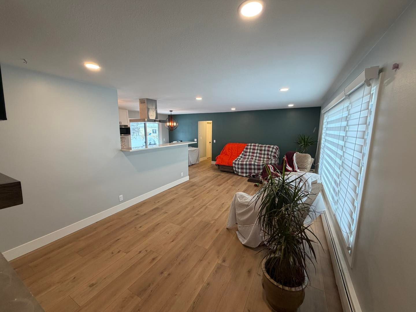 Bright open living room with wood floors, teal accent wall, plaid sofa, and large window blinds