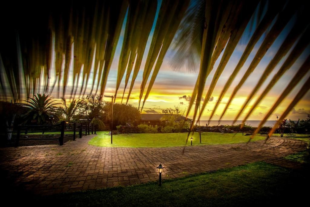 A sunset over a golf course with a palm tree in the foreground.