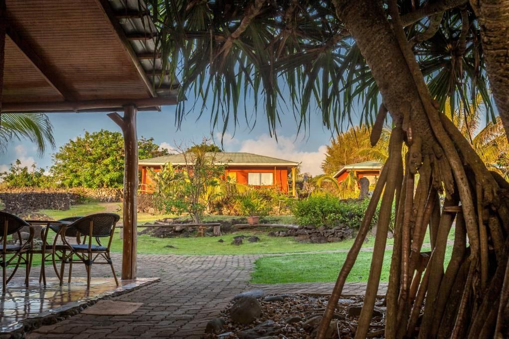 A tree with a lot of roots is in front of a house.