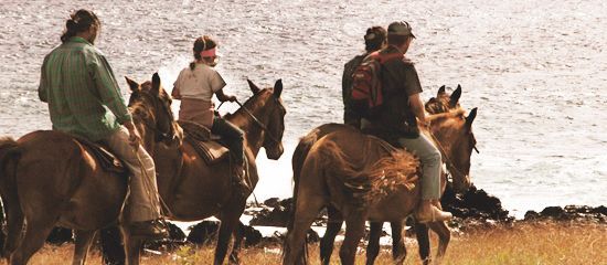 A group of people are riding horses near a body of water.