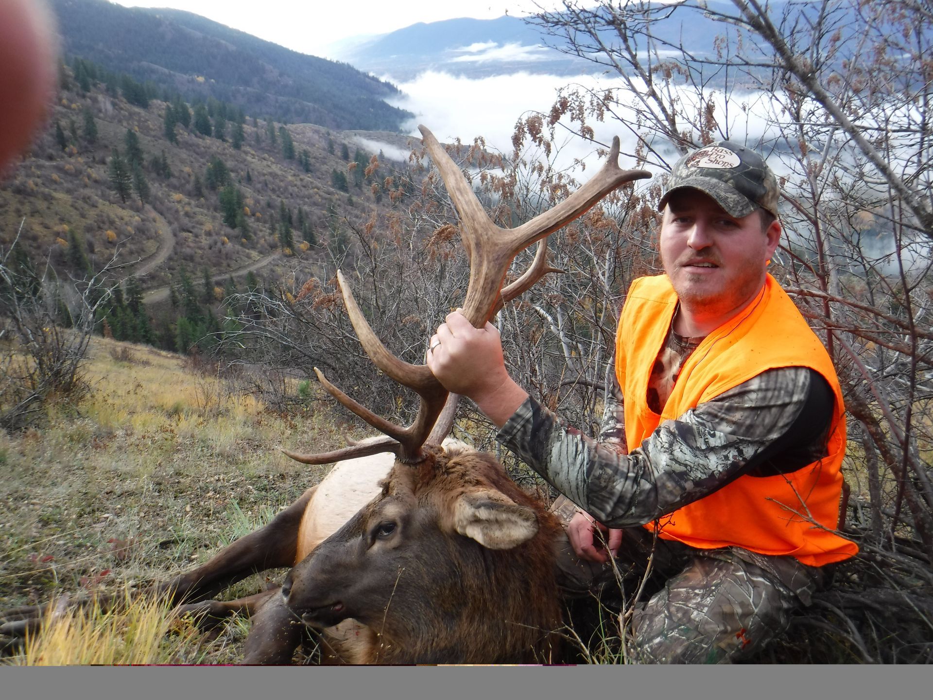 Deer hunts