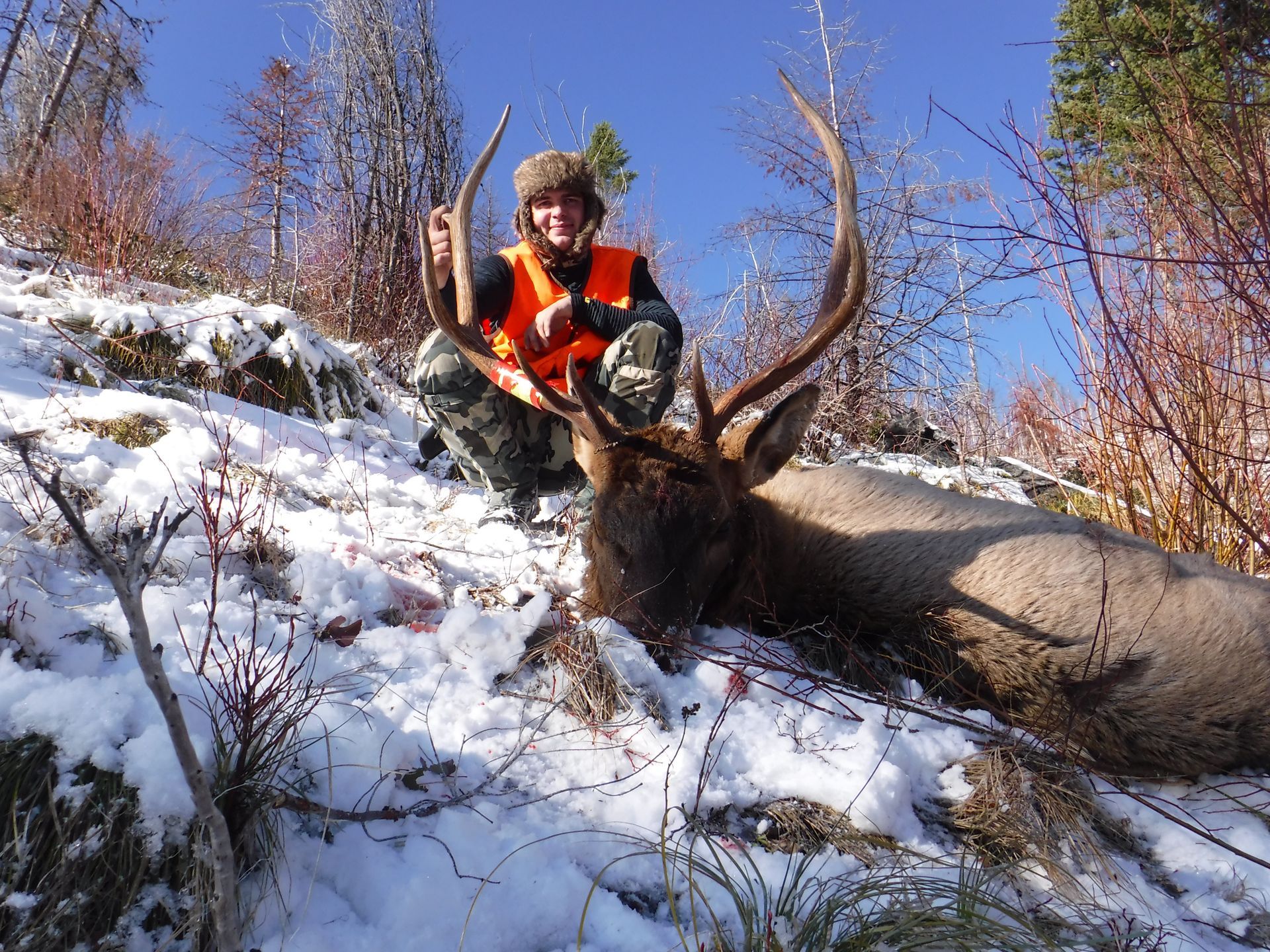 Deer hunts