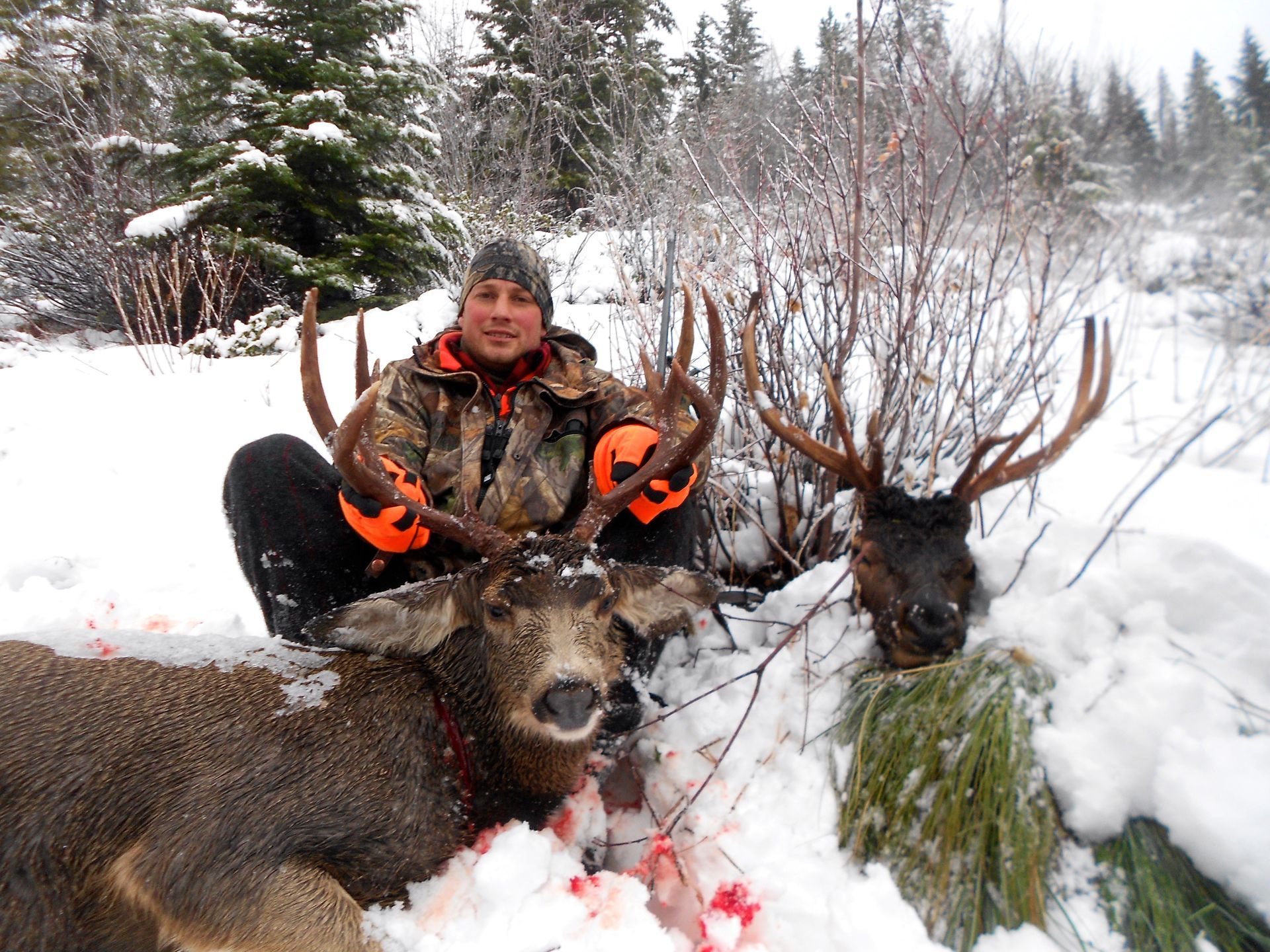 Deer hunts