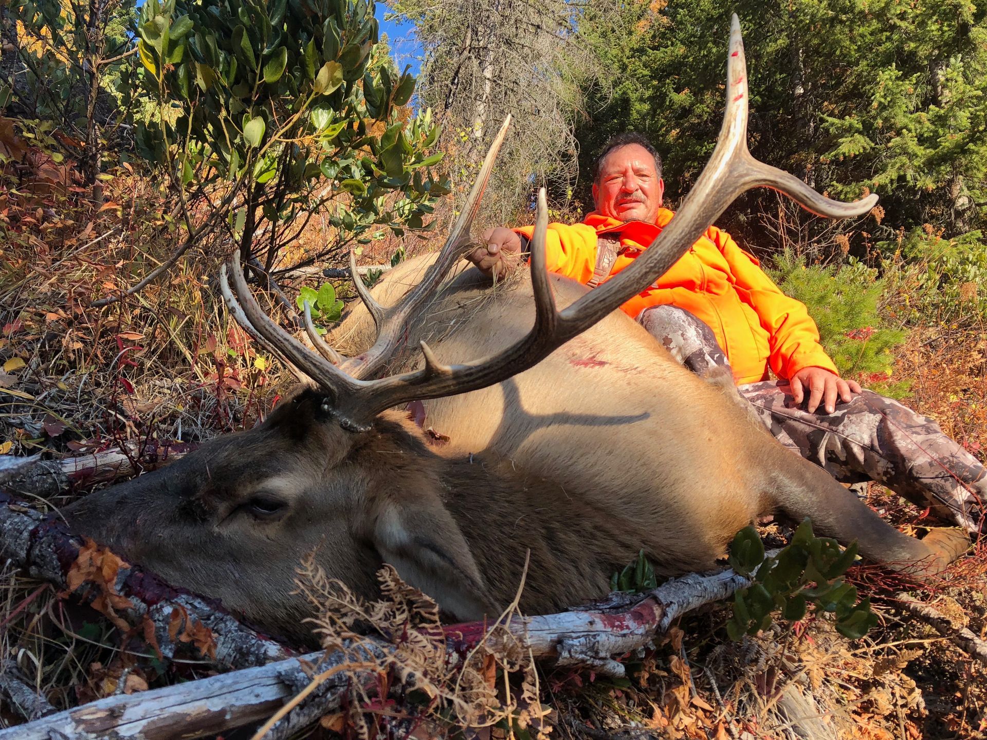 Deer hunts