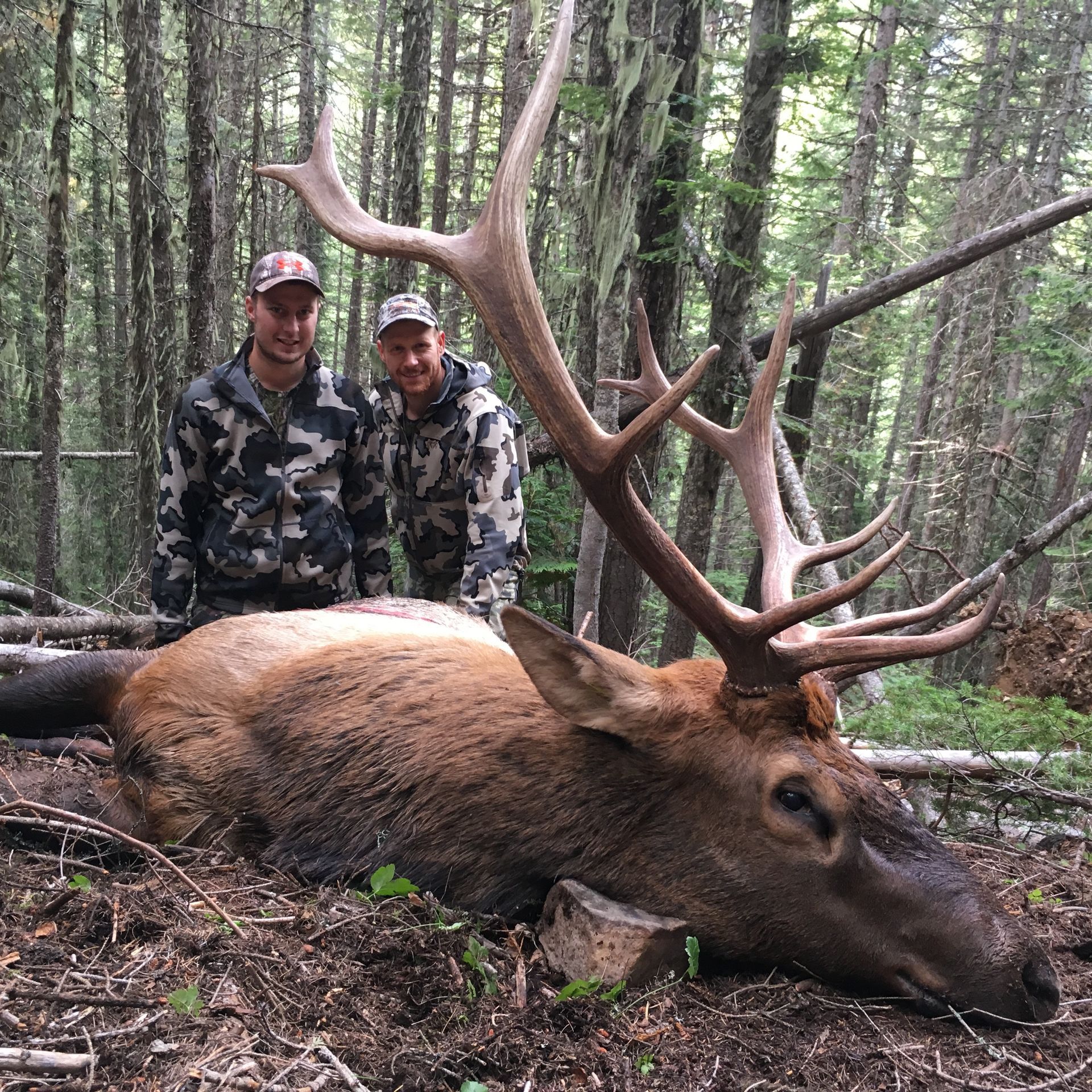 Deer hunts
