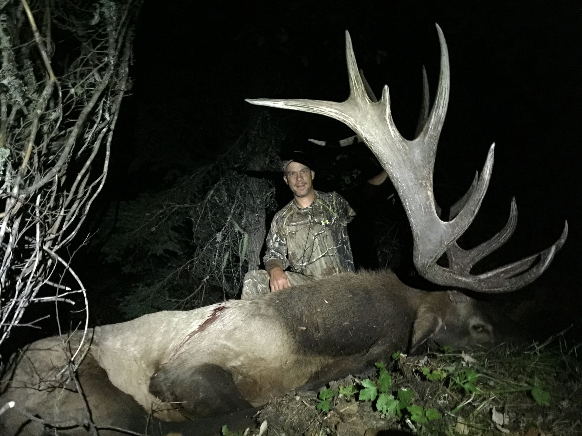 Deer hunts