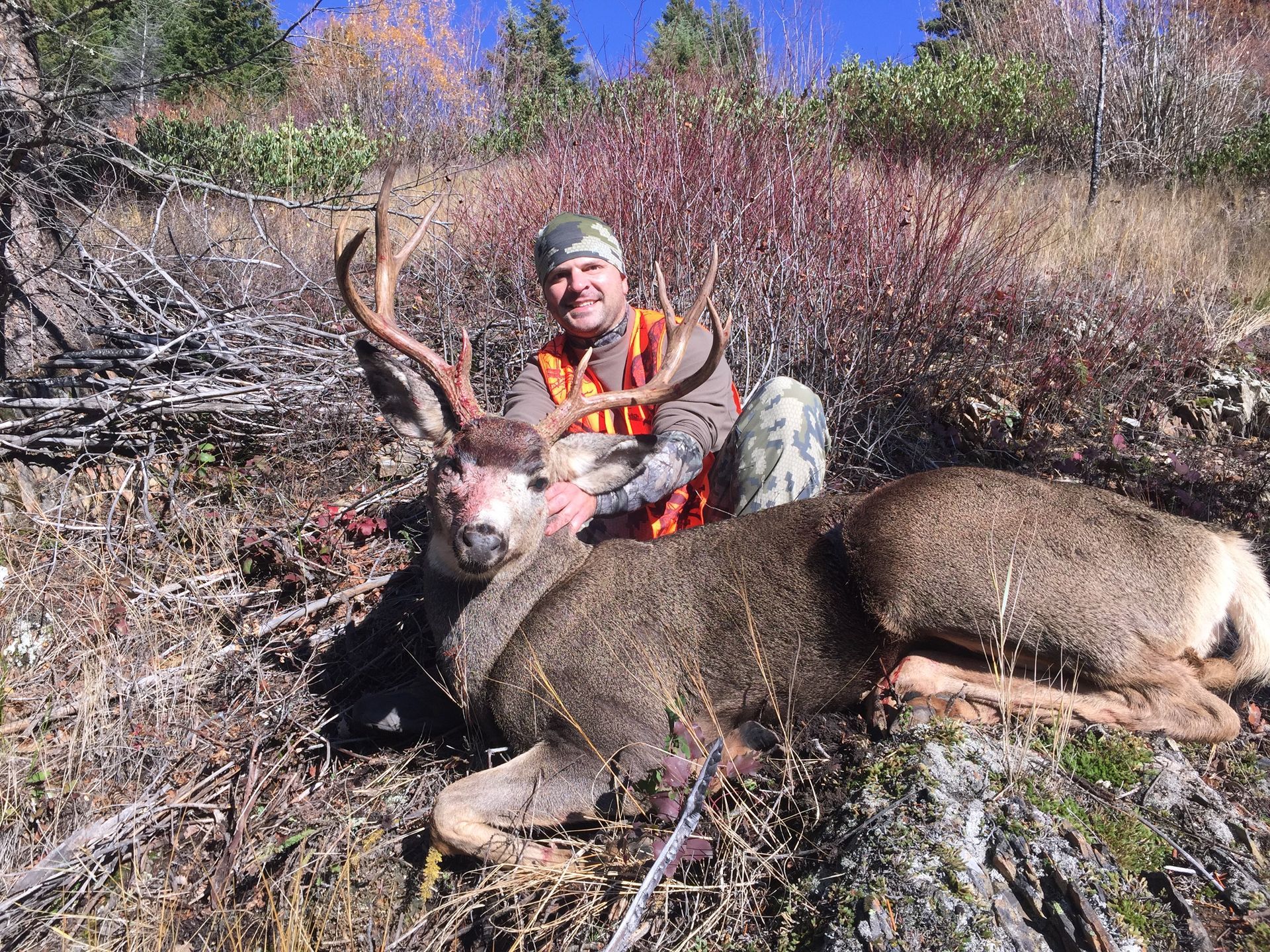 Deer hunts