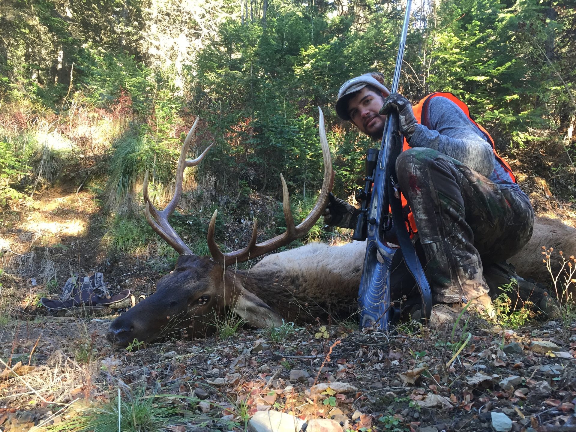 Deer hunts