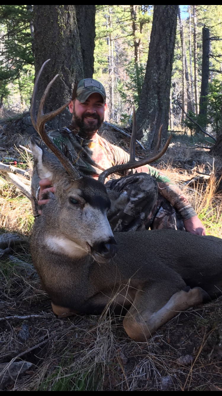 Mule deer hunts