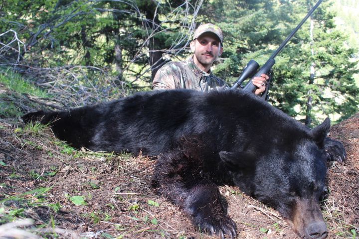 A black bear is laying on its back in the snow.