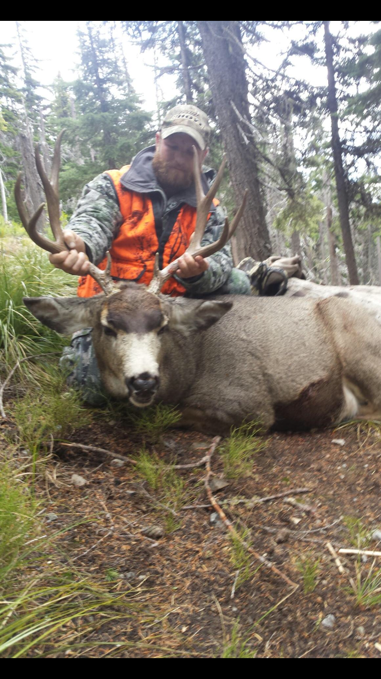 Mule deer hunts
