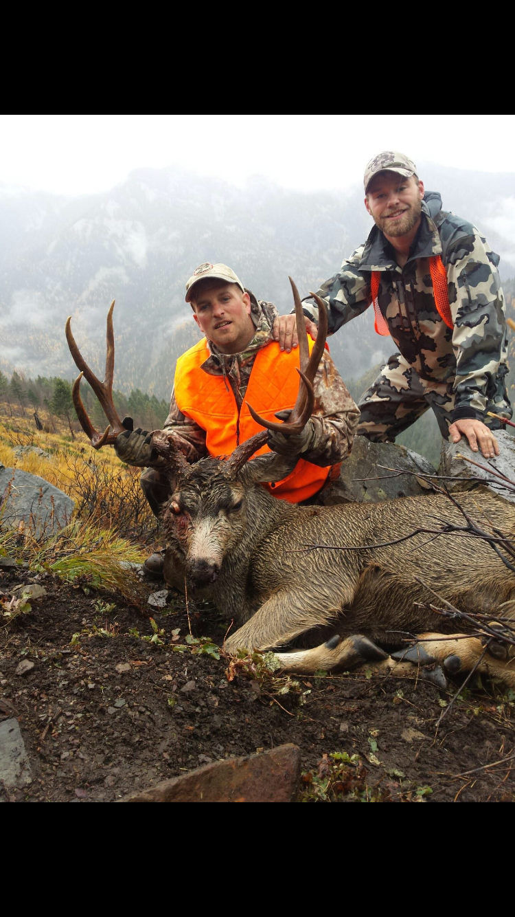 Mule deer hunts