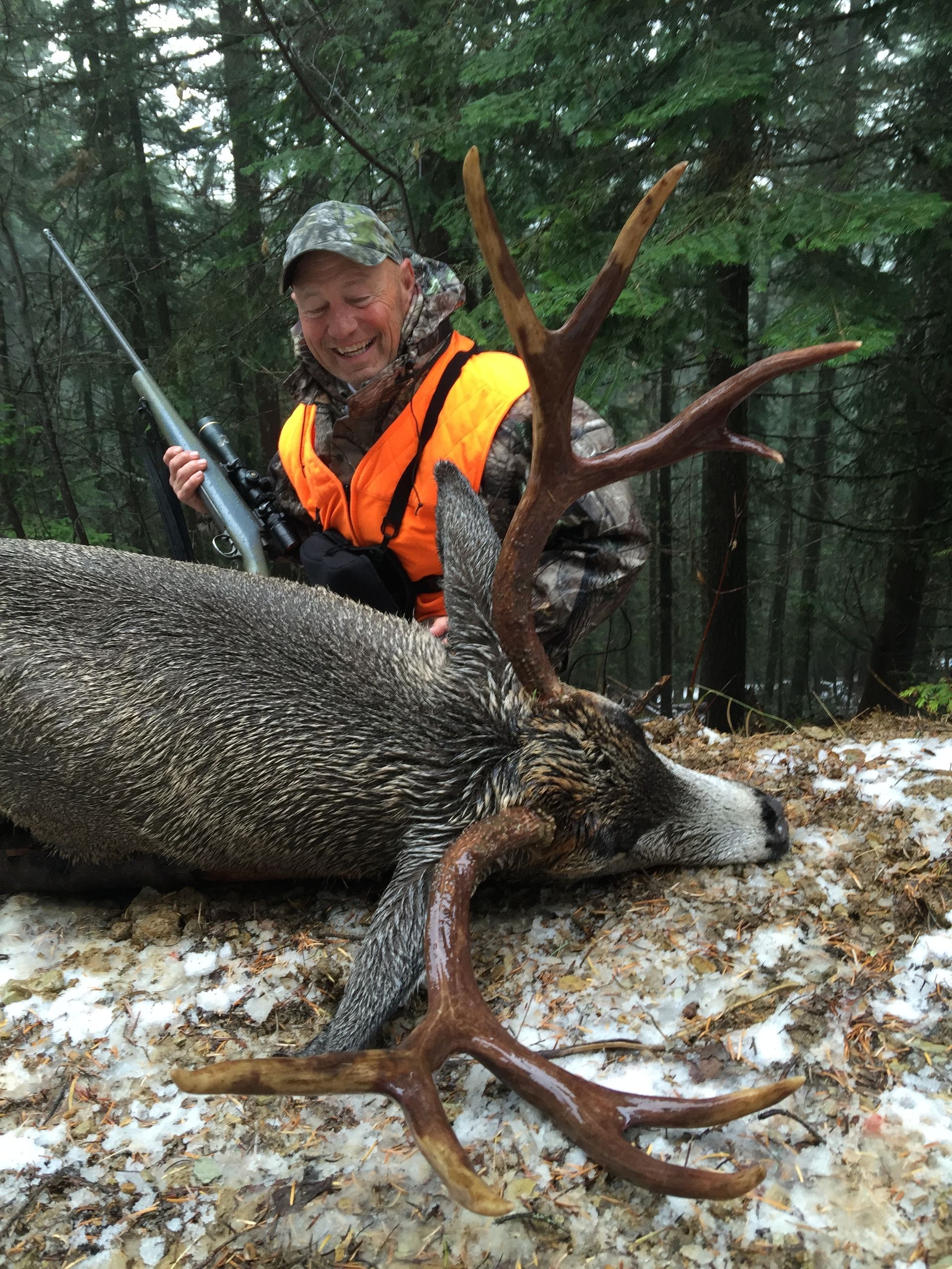 Mule deer hunts