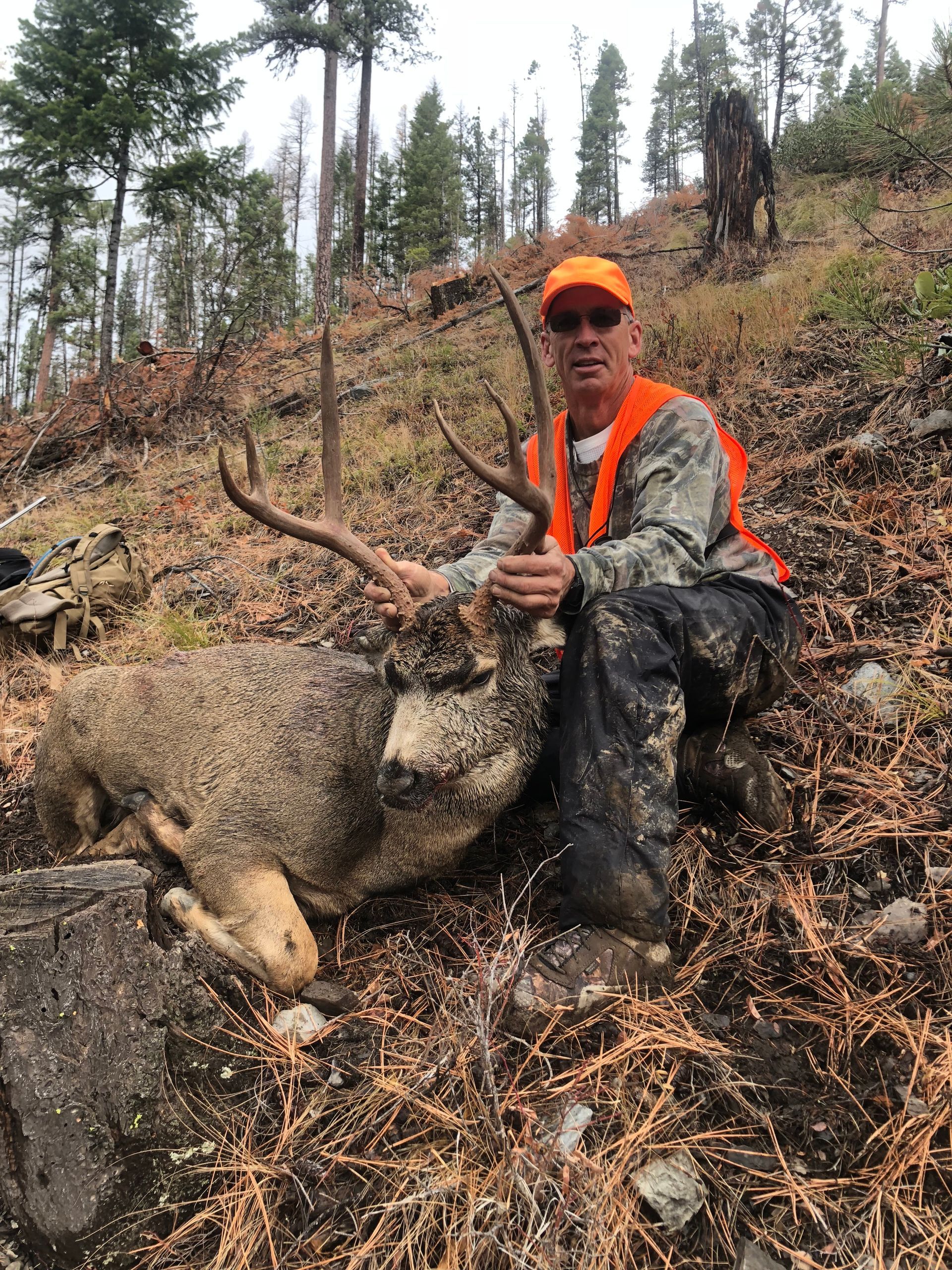 Deer hunts