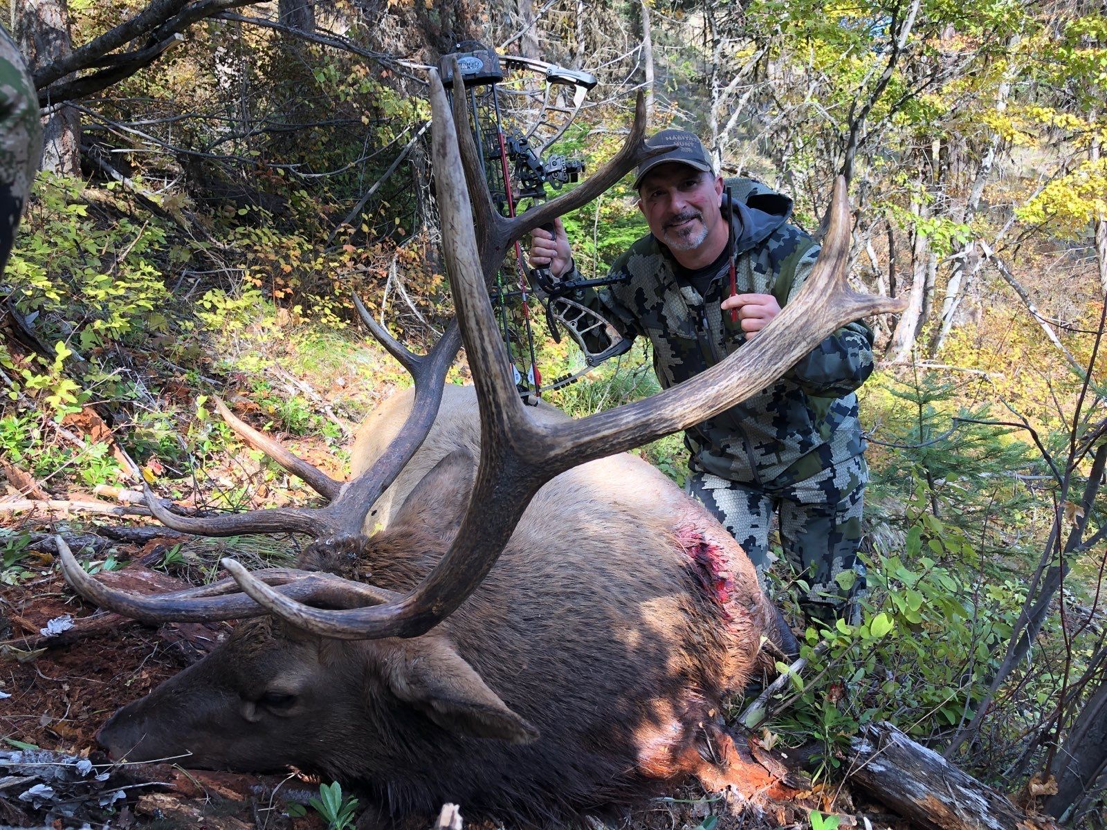 Deer hunts