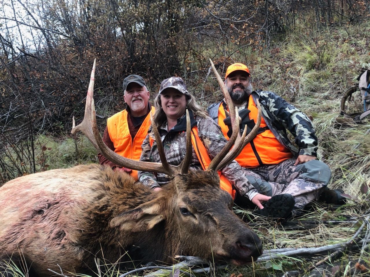 Deer hunts