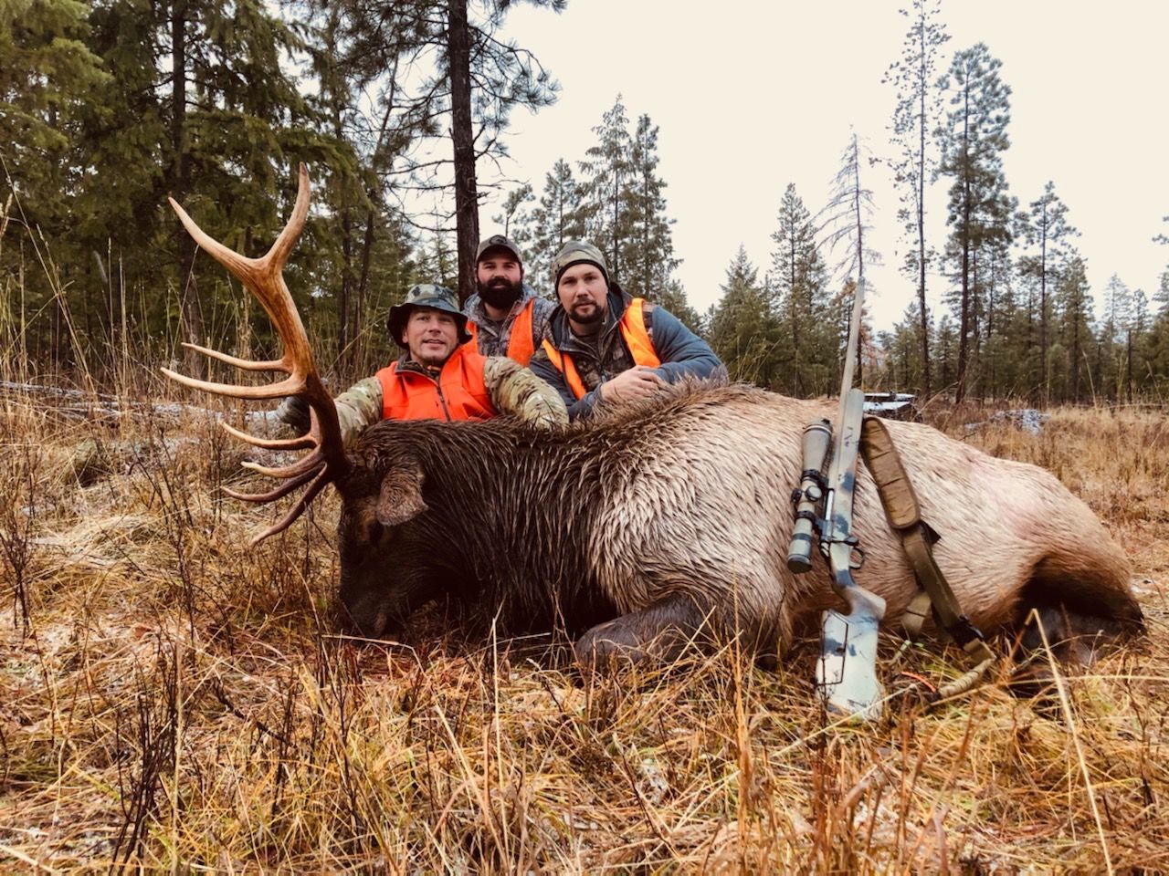 Deer hunts