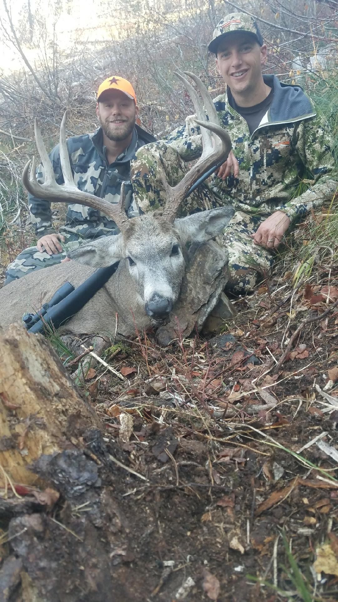 Mule deer hunts