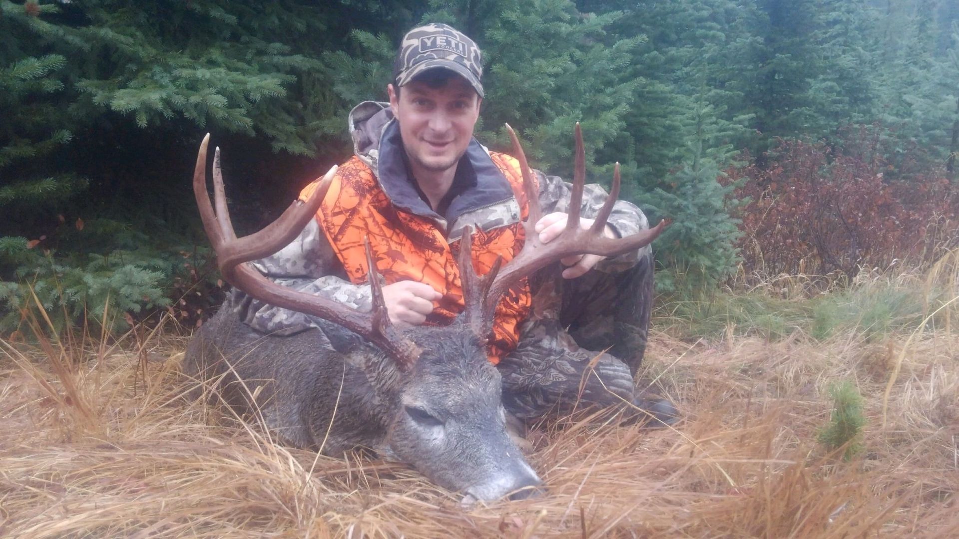 Mule deer hunts