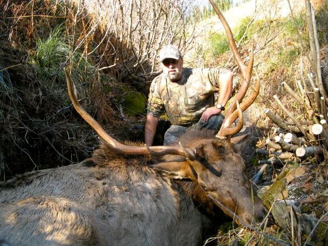 Deer hunts