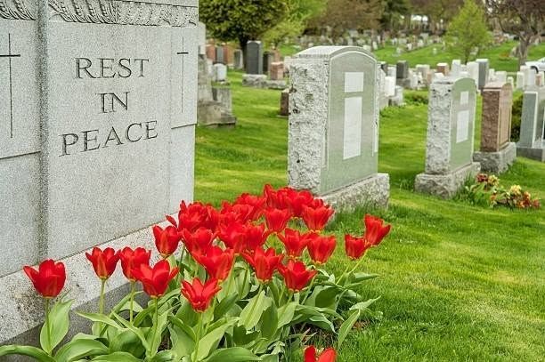 Cemetery with gravestones, red tulips, and a headstone engraved “REST IN PEACE”