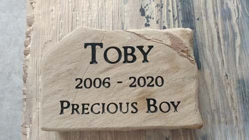 Engraved stone memorial reading “Toby 2006–2020 Precious Boy” on a wooden surface