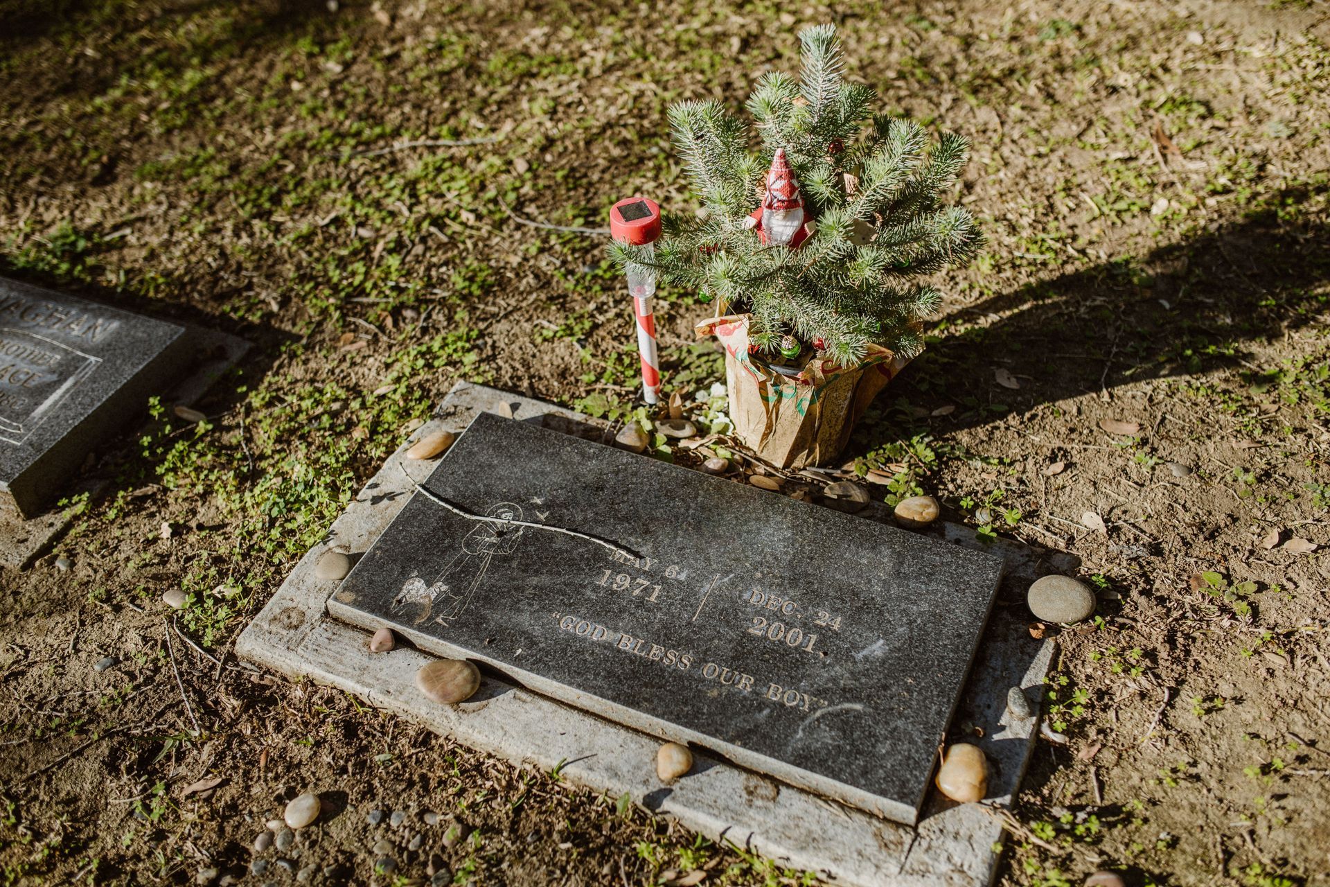 Cemetery with gravestones, red tulips, and a headstone engraved “REST IN PEACE”