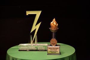 Two trophies are sitting on a green table.