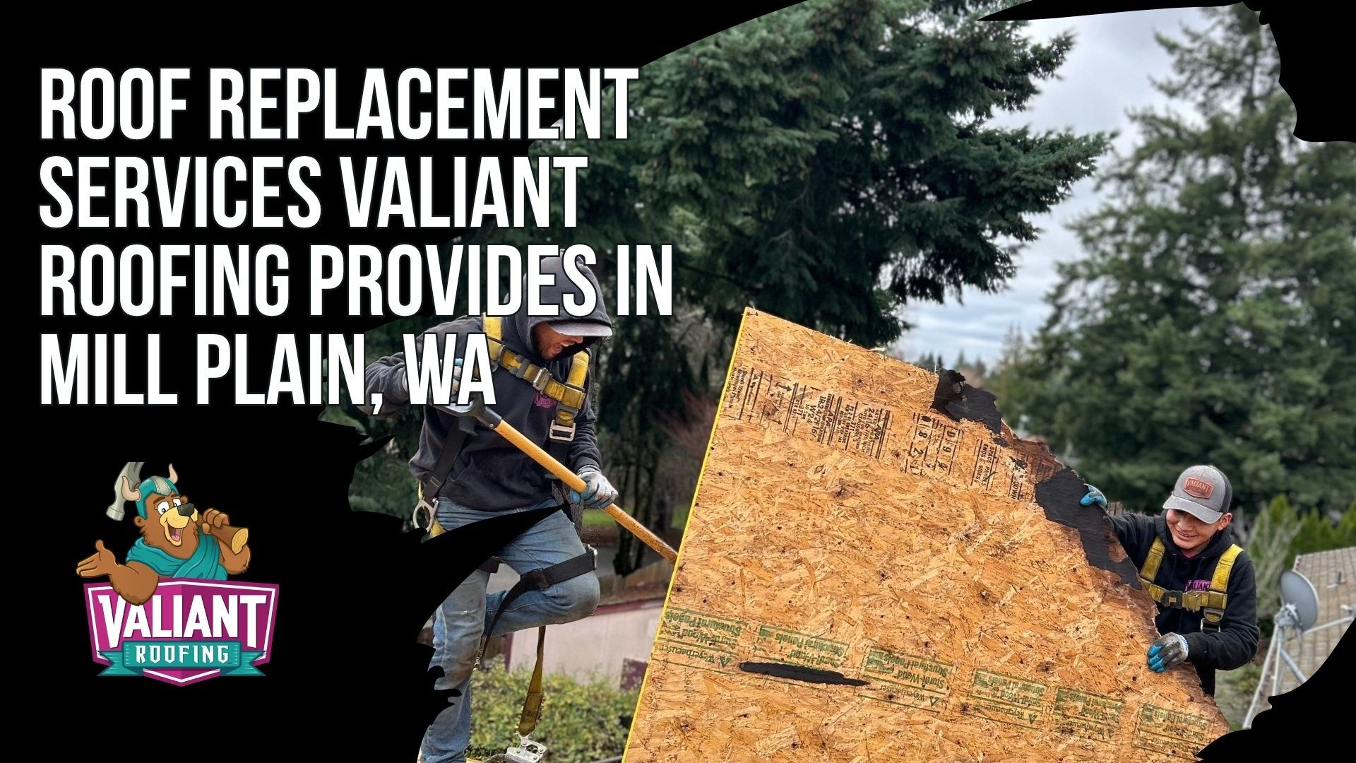Roof Replacement Services Valiant Roofing Provides in Mill Plain, WA
Valiant Roofing handles every phase of residential roof replacement in Mill Plain, WA, from full tear-off with ice and water shield, synthetic underlayment, and ridge vent to decking repair with photos of every sheet replaced, plus same day emergency tarping after Gorge windstorms. Ventilation is designed to the 1:150 IRC ratio, cutting attic condensation by roughly 33% versus 1:300, the most common defect in 1990s Cascade Park construction. Material options include Owens Corning Duration and CertainTeed Landmark shingles, Class 4 F-Wave synthetic that can earn 10% to 30% insurance discounts, and standing seam metal. Valiant Roofing, 108 SE 124th Ave Suite 8, Vancouver, WA 98684, https://www.valiantroofing.com/locations/vancouver-wa