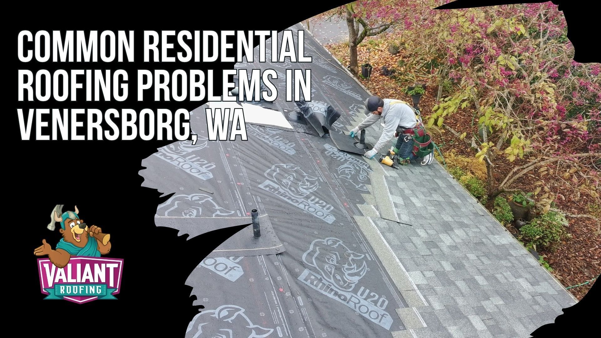 Common Residential Roofing Problems in Venersborg, WA
Venersborg homeowners commonly face roofing problems caused by dense tree cover, moisture, freeze-thaw cycles, UV exposure, aging materials, and wind. Frequent issues include moss and algae growth on shaded slopes, debris buildup in valleys, flashing failure around dormers, skylights, and chimneys, cracked pipe boots, poor attic ventilation, granule loss on older asphalt shingles, and wind uplift along exposed ridgelines. Proper ventilation, moss-resistant materials, correct fastening methods, and timely inspections help prevent small problems from turning into leaks, decking damage, or more costly repairs. Address: 108 SE 124th Ave Suite 8, Vancouver, WA 98684. URL: [https://www.valiantroofing.com/locations/vancouver-wa](https://www.valiantroofing.com/locations/vancouver-wa)
