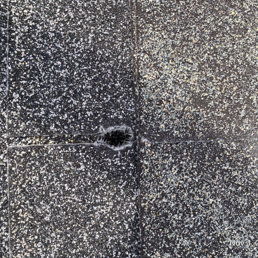 Roof repairs in Vancouver, Washington sometimes reveal unexpected damage. We see a surprising number of bullet holes in roofs, and even small penetrations can allow water to enter and spread fast. These issues are easy to miss from the ground but can lead to leaks, rot, and interior damage if ignored. If you are searching for roof repair near me in Vancouver or roof repair near you in Vancouver, a professional inspection matters. Contact Valiant Roofing at 108 SE 124th Ave Suite 8, Vancouver, WA 98684 or schedule here https://www.valiantroofing.com/locations/vancouver-wa