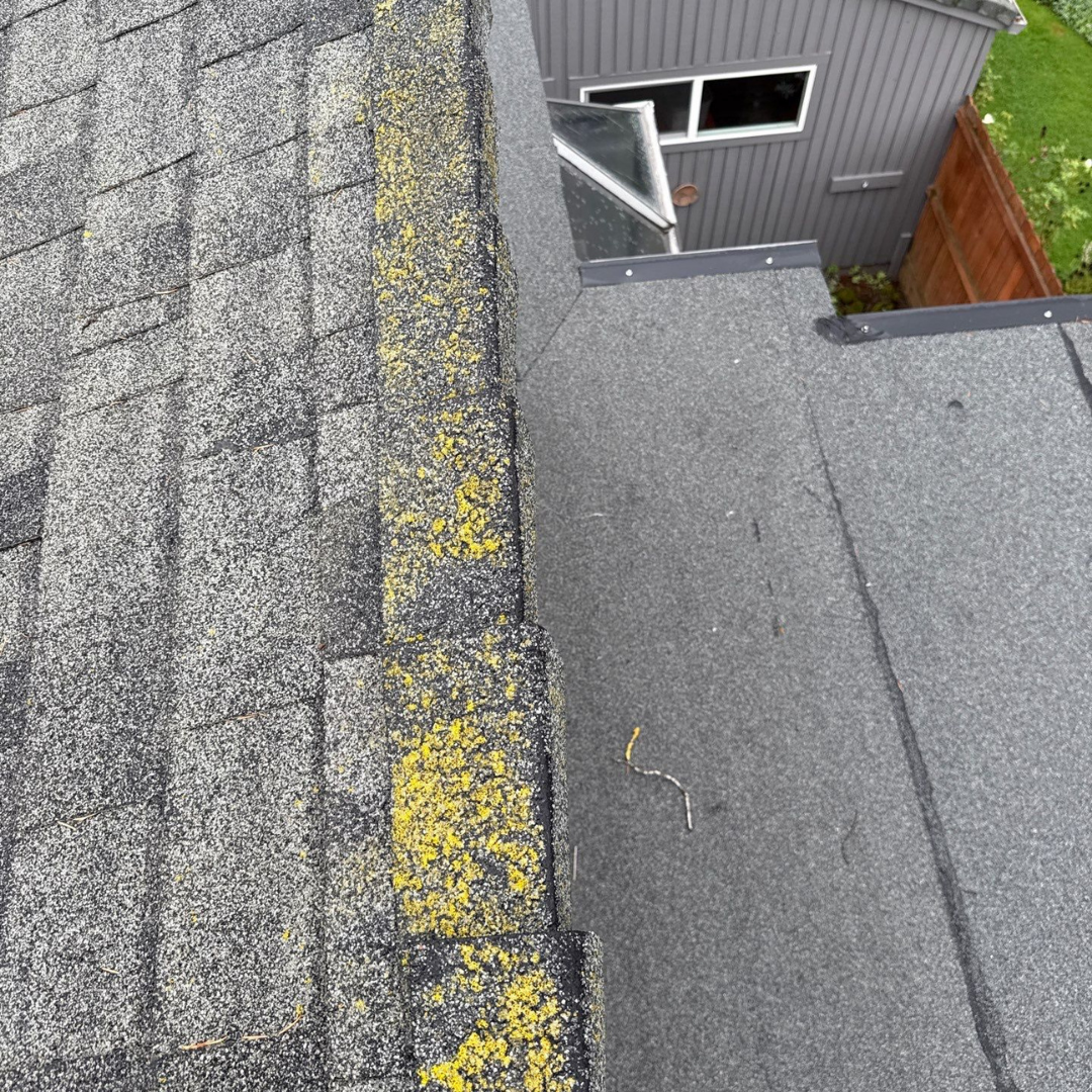Moss is one of the biggest reasons roof repairs in Vancouver, WA are needed. Our wet climate allows moss to trap moisture, lift shingle edges, and accelerate breakdown of the entire roof system. Left untreated, moss turns small issues into leaks, rot, and structural damage fast. If you are searching for roof repair near me in Vancouver or roof repair near you in Vancouver, an early inspection matters. Contact Valiant Roofing at 108 SE 124th Ave Suite 8, Vancouver, WA 98684 or schedule here https://www.valiantroofing.com/locations/vancouver-wa
