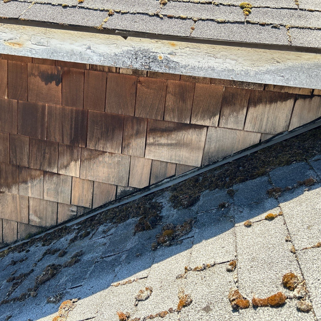 Moss plus shingles is one of the fastest paths to roof repairs in Vancouver, WA. Moss holds moisture against the shingle surface, lifts edges, and breaks down the protective layers underneath. Over time, this leads to leaks, granule loss, and rotted decking. In our local climate, moss damage accelerates roof failure faster than most homeowners expect. If you are searching for roof repair near me in Vancouver or roof repair near you in Vancouver, early action matters. Contact Valiant Roofing at 108 SE 124th Ave Suite 8, Vancouver, WA 98684 or schedule here https://www.valiantroofing.com/locations/vancouver-wa